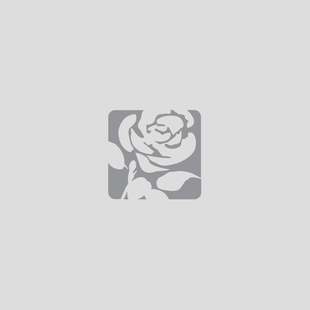Default portrait for Kristina Willand