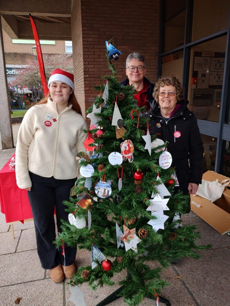 Three of our activists with our Christmas wishes tree